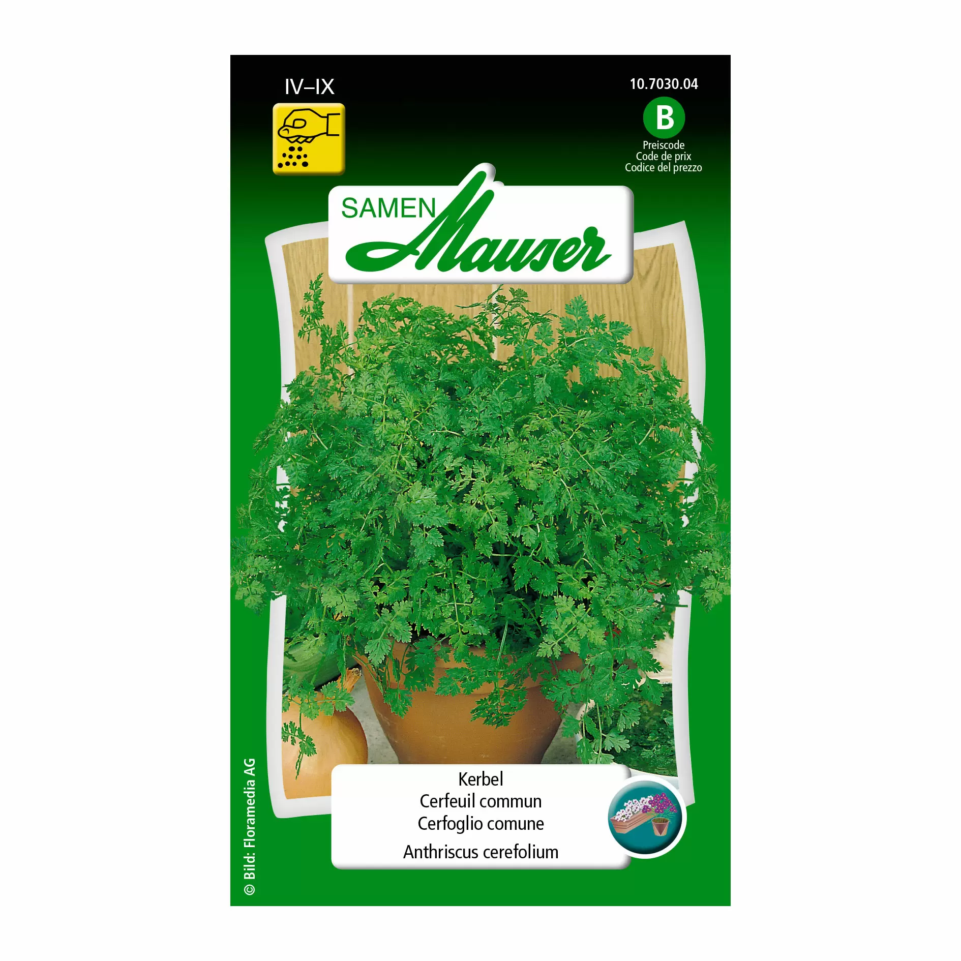 Kerbel - Kräutersamen - Gartencenter Zulauf - Pflanzen kaufen