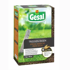 Trocken-Rasen (Gesal)