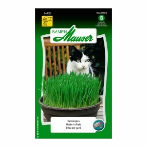 Katzengras-Kraeuter-Samen
