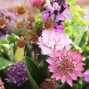 Fachkurs - Blütenfrisch ins Haus geholt