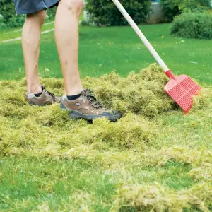 Rasenpflege