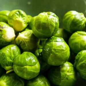 Rosenkohl
