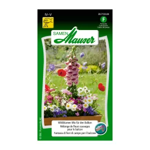 Wildblumen-Mix-für-den-Balkon-Blumen-Samen